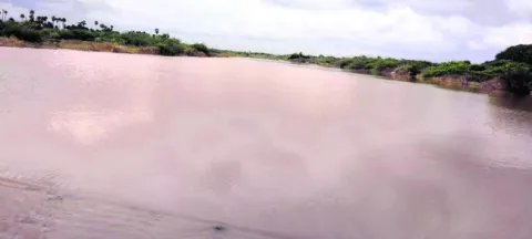 ●  జి