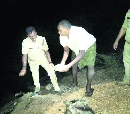 కూర్మ