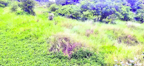 ధర లే