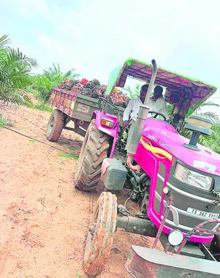 గిట్టుబాటు ఏదీ?