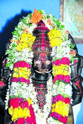 కొండల రాయుడికి నేడు తేళ్ల నైవేద్యం