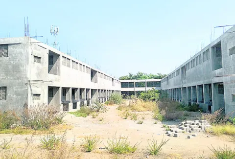 తేలని