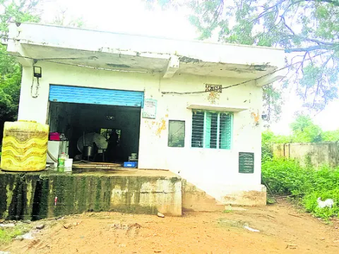 పాల స