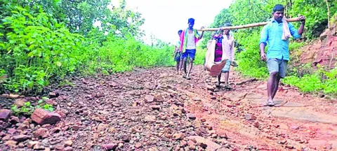 ● తప్పని డోలీ కష్టాలు..! 