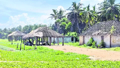 అక్కు