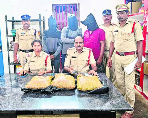 గంజాయ