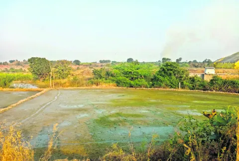 కలుషితమవుతున్న మత్తడి వాగు నీరు 