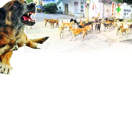 వణికి
