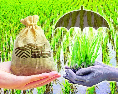 రైతు బీమా మార్గదర్శకాలు జారీ