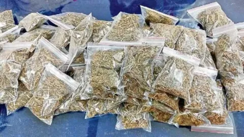 కట్టడి చేసినా.. గంజాయి సరఫరా.. 