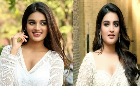 Nidhhi Agerwal Responds On AP Govt Car using For Private Event 