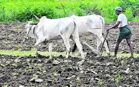రైతుకు ధీ(బీ)మా