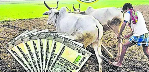 బీమా.