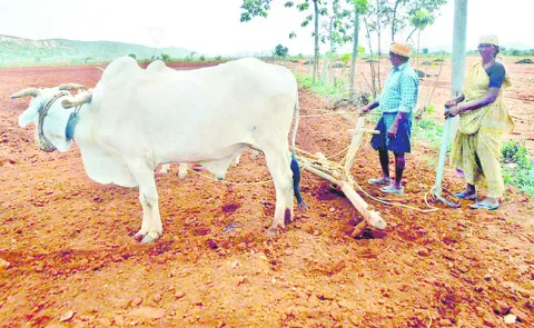 ఎరువు