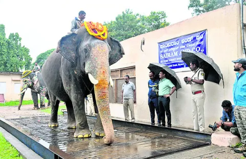 భీమా.