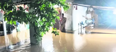 గౌరిక