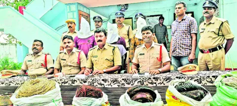 కాపర్‌వైర్‌ దొంగల అరెస్ట్‌