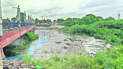 అలుగు పారిన కేసరి సముద్రం 
