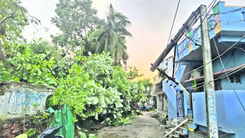 నర్సీ