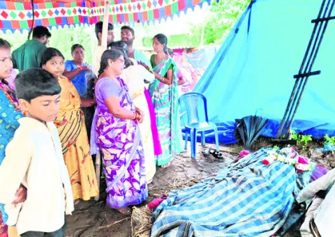 గూడు 