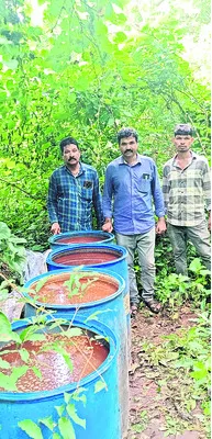 సారా బట్టీలపై దాడులు 