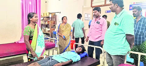విద్యార్థికి పాముకాటు 