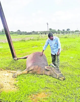 ఆర్టీసీ బస్సులో డీజిల్‌ చోరీ 