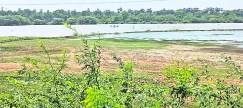 పైడమ్