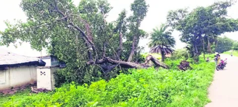 ఇంటిప