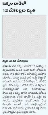దానమ్