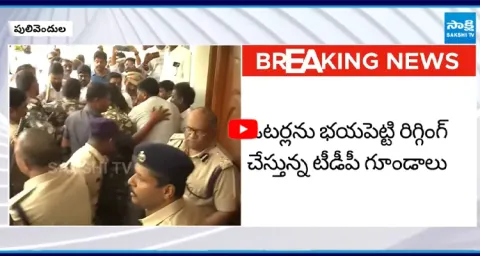 DIG Koya Praveen in YSRCP Office 1