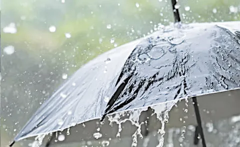 Heavy rains forecasted for next three days in Andhra pradesh