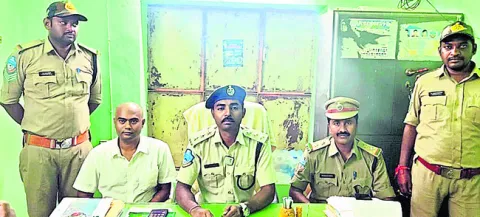అది చిరుత కాదు.. హైనా