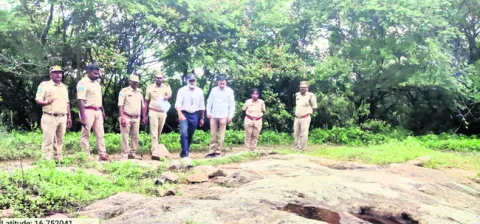 చిరుత సంచారంపై పరిశీలన