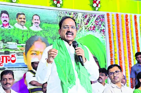 లాభసా
