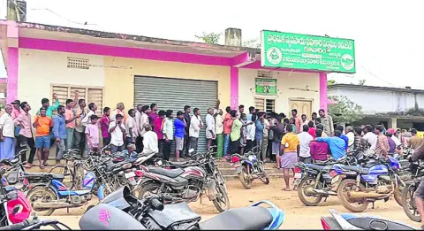 యూరియ