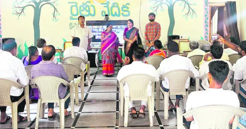 ప్రకృతి వ్యవసాయంపై దృష్టి సారించాలి 