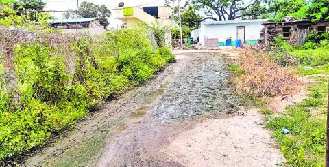 దోమకా