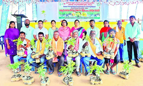 ఉద్యాన పంటల ఆవశ్యకతను గుర్తించాలి