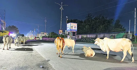 కదిలే