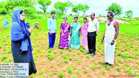నేడు 