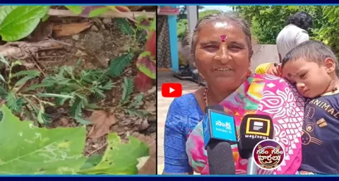 Strange Incident In Jangaon District  2