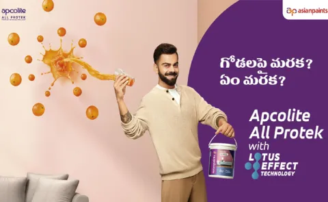 Asian Paints intraduces Lotus Effect Technology Apcolite All Protect
