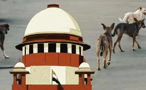 Chief Justice Reacts On Supreme Court Order On Stray Dogs10
