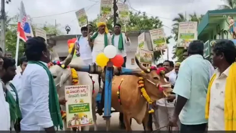 Bulls threatened.. TDP MLA Bandaru Satyananda Rao fell down