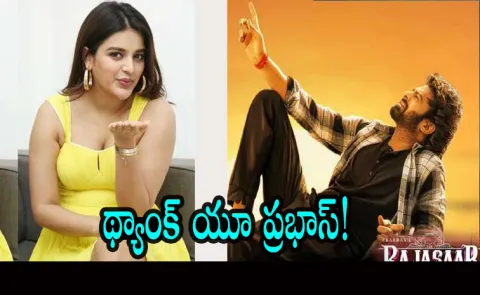 Tollywood Hero Prabhas Sends Food To Actress Nidhhi Agerwal