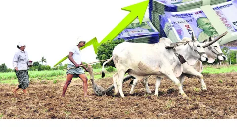 కౌలు 