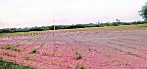 నీట మ