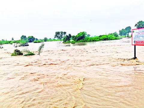 నిలిచ