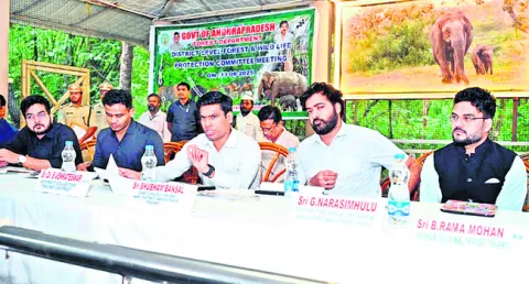 బాధ్యతగా అటవీ సంరక్షణ